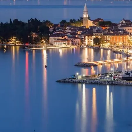 Daire 7